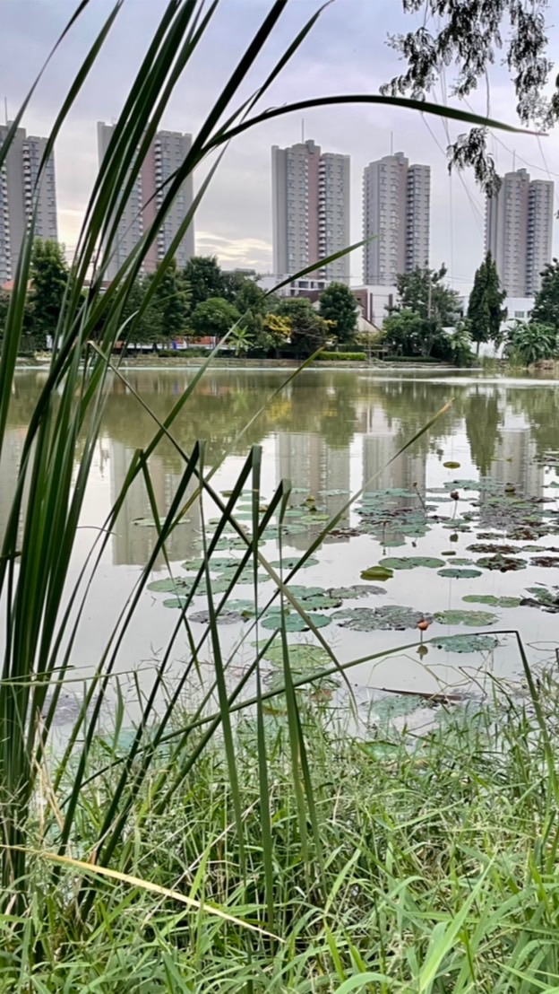 ที่ดินสวยทั่วไทย