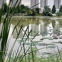 ที่ดินสวยทั่วไทย