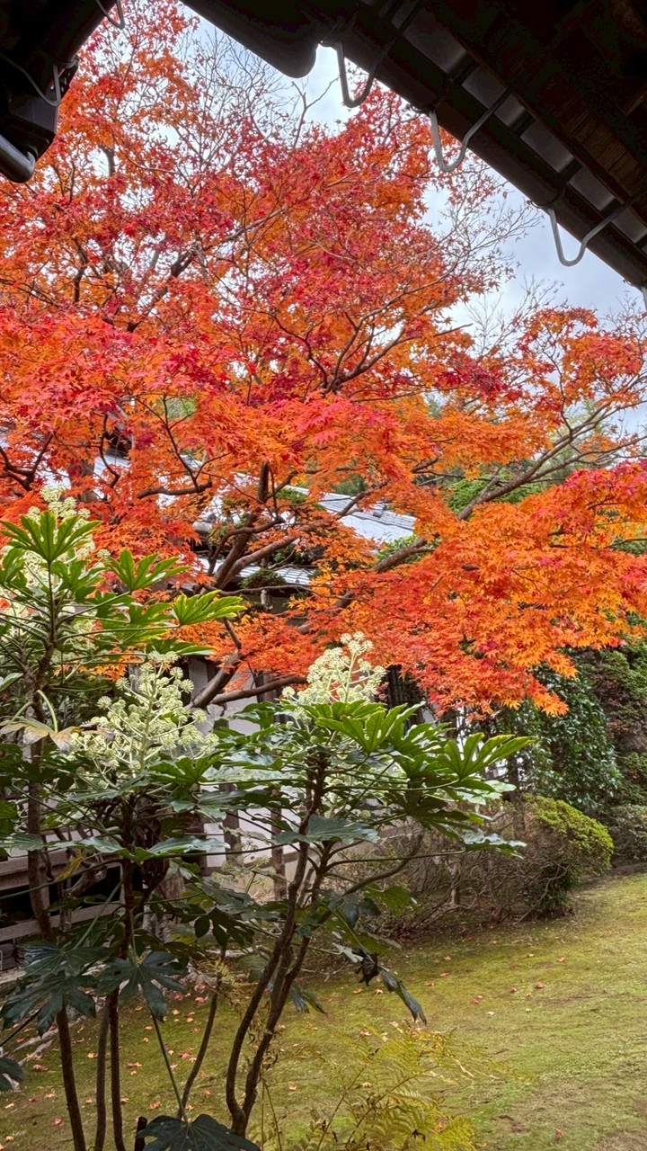 東広島夜練🚲ロードバイク