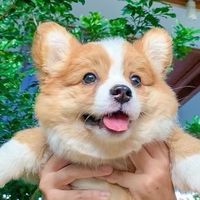 🏹 ‎ෆ กลุ่มสิทธิ์ขาด by hana ⸝⸝⸝ ⭐️