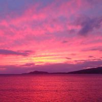 sunset🌻びっくらーぶ🫶