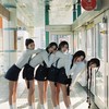 illit的gllit🐯🐰🐱🐹🦊🩵