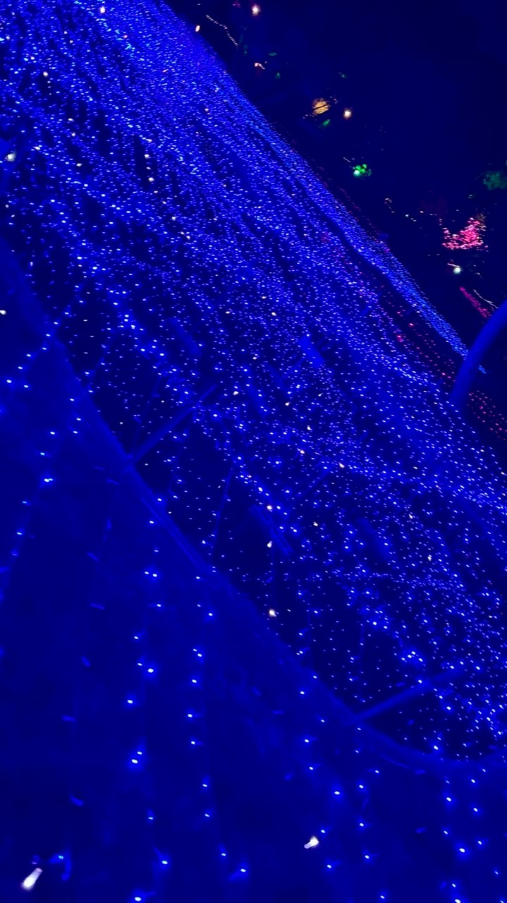 ねこいし推し集まれ