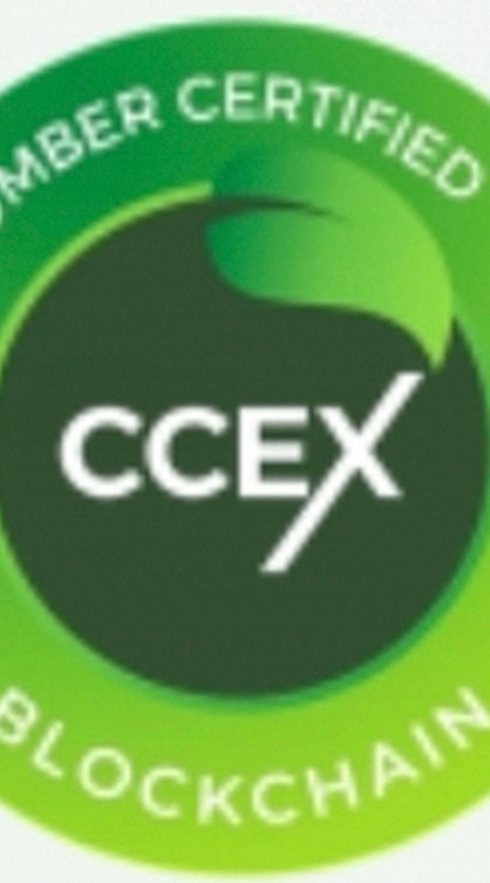 CCEX ASIAN