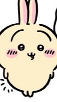 うさぎのチームtiktok liteタップイベント