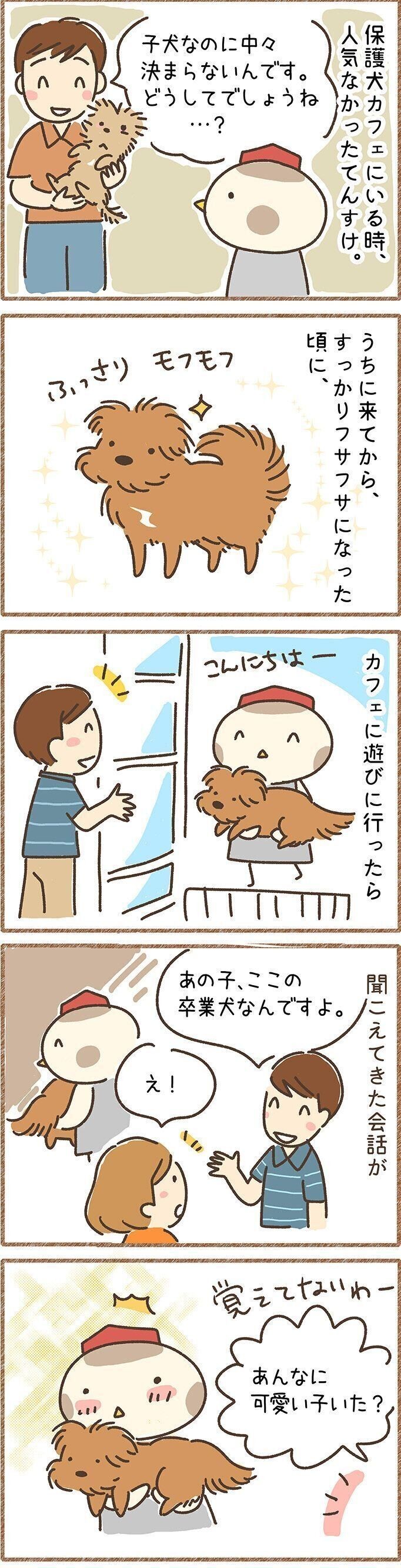 冬に食べたい 温かい食べ物 飲み物 犬に与えてもok