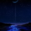 寒江陪煙火 月半星如昨