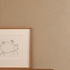 カヨペリコ周回※無限周回できる人のみ