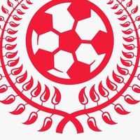 CZサッカー初級学者256コミュニティ