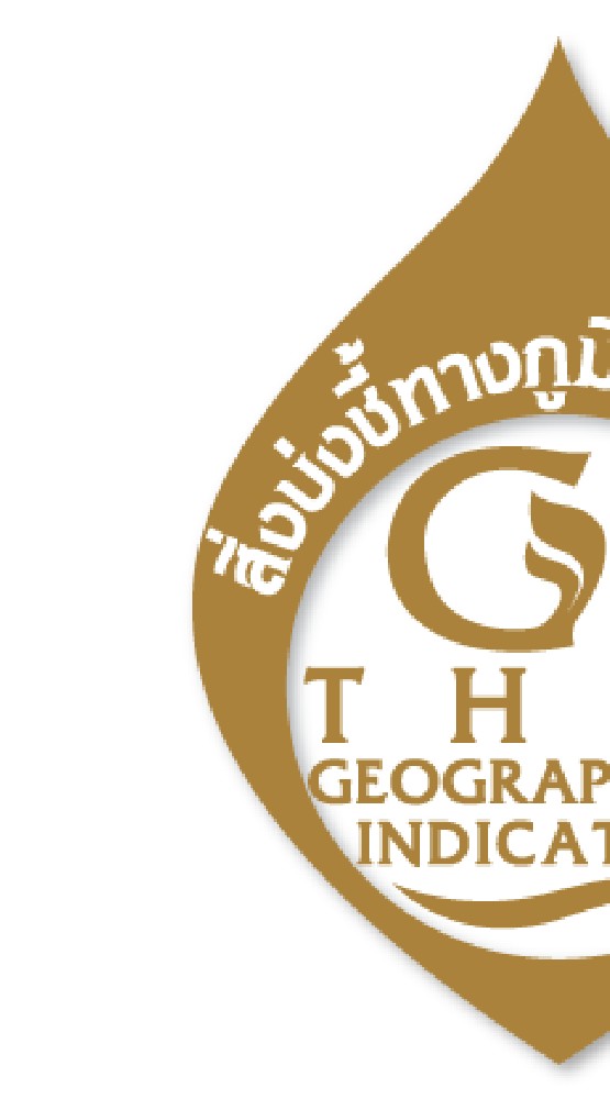 ICS.​Spta.​อินทรีย์สากลข้าวสังข์​หยด​เมือง​พัทลุง​