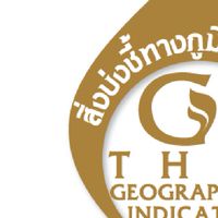ICS.​Spta.​อินทรีย์สากลข้าวสังข์​หยด​เมือง​พัทลุง​