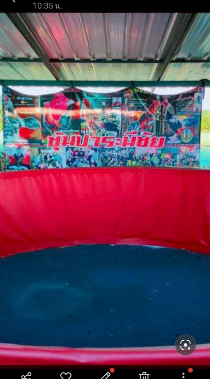 ต้น ปาระมีชัย  สังกัดส.สำราญ