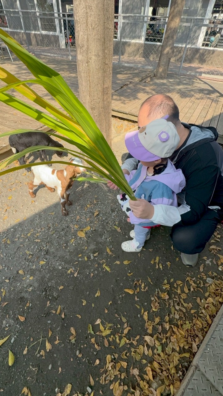 💗記事本、相片、影片💗