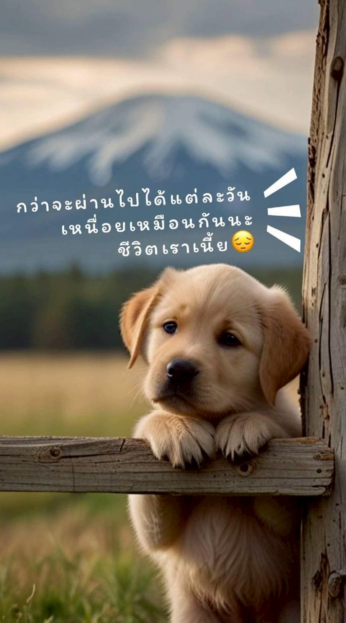 ทอมดี้  บ้านนี้มีแต่เพื่อน