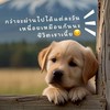 ทอมดี้  บ้านนี้มีแต่เพื่อน
