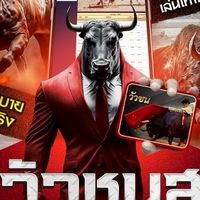 วัวชน วัวชนสดวันนี้ วัวชนออนไลน์