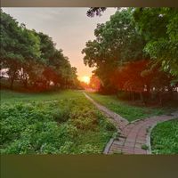 聖星