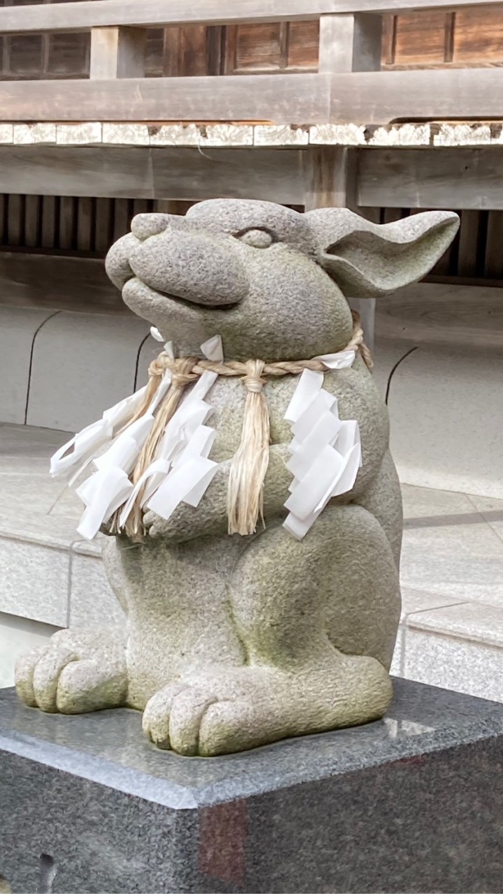 Type 1（1型糖尿病）Hokkaido