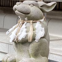 Type 1（1型糖尿病）Hokkaido