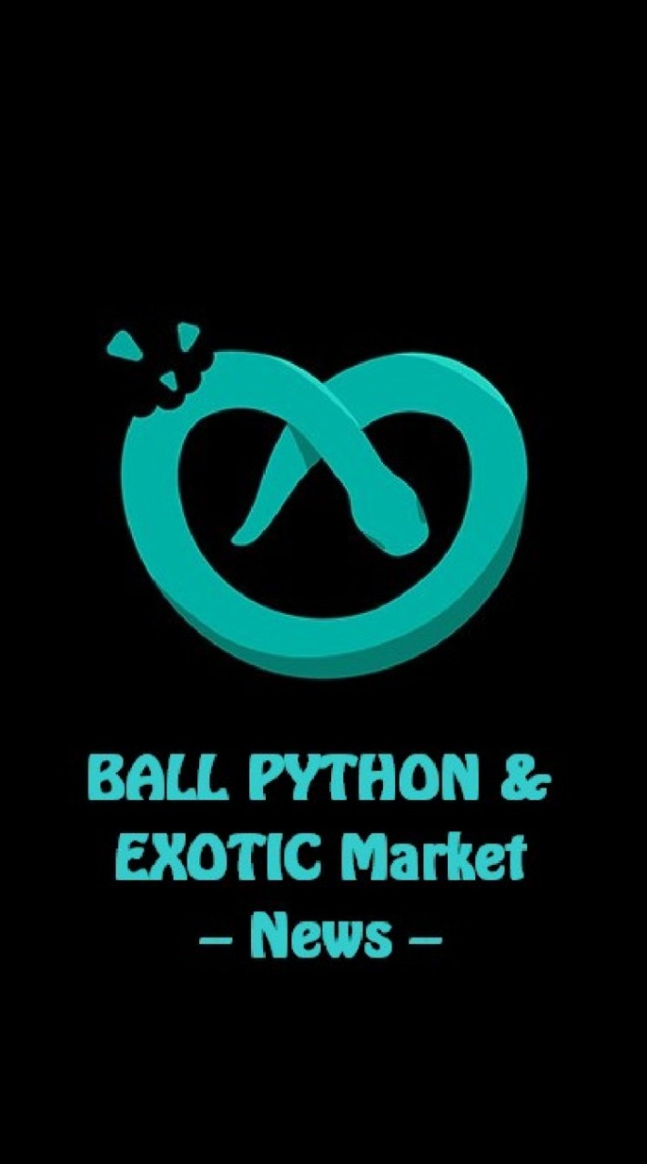 👑🛒ห้องซื้อขายงูบอลและExotic🐍Ball Python&Exotic Market🔰