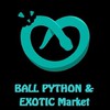 👑🛒ห้องซื้อขายงูบอลและExotic🐍Ball Python&Exotic Market🔰