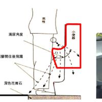 新北耶誕城不孤單山姆