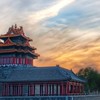 我愛中華，活動分享