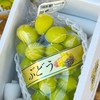Golden fruit🍈🍇🍑🥭ผลไม้นำเข้าปลีก-ส่ง