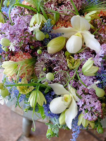 一度見たら忘れられない強烈な美しさ 個性的なラナンキュラス モロッコ