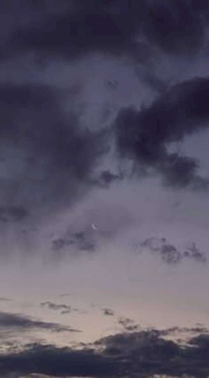 ᡣ𐭩 折恋 ꯁꯧ