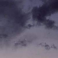 ᡣ𐭩 折恋 ꯁꯧ