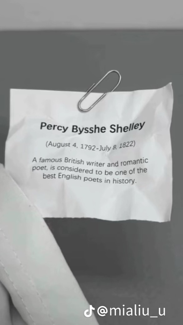 ✐. 晴 羽 微 光 ⊹ꮺ˚