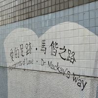 半百的旅程/50⬆️⬇️