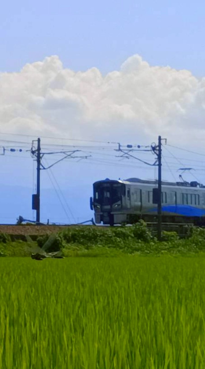 あいの風とやま鉄道好きな人の雑談所