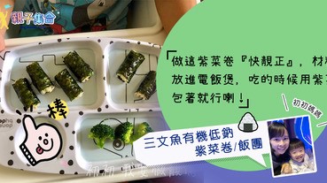 【專欄作家：初初媽媽】幼兒食譜－三文魚有機低鈉紫菜卷/飯團