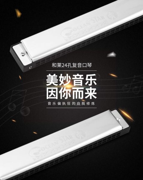 德國和來HOHNER和萊24孔復音C調口琴初學者成人高級演奏兒童專業 【新品優惠】LX
