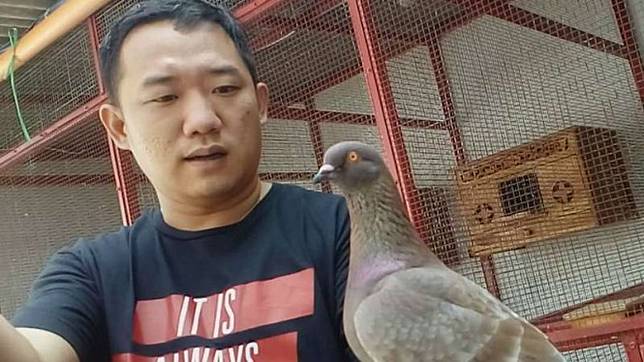 Awal Mula Robby Eka Kepincut Beli Burung Dara Senilai Rp1 Miliar