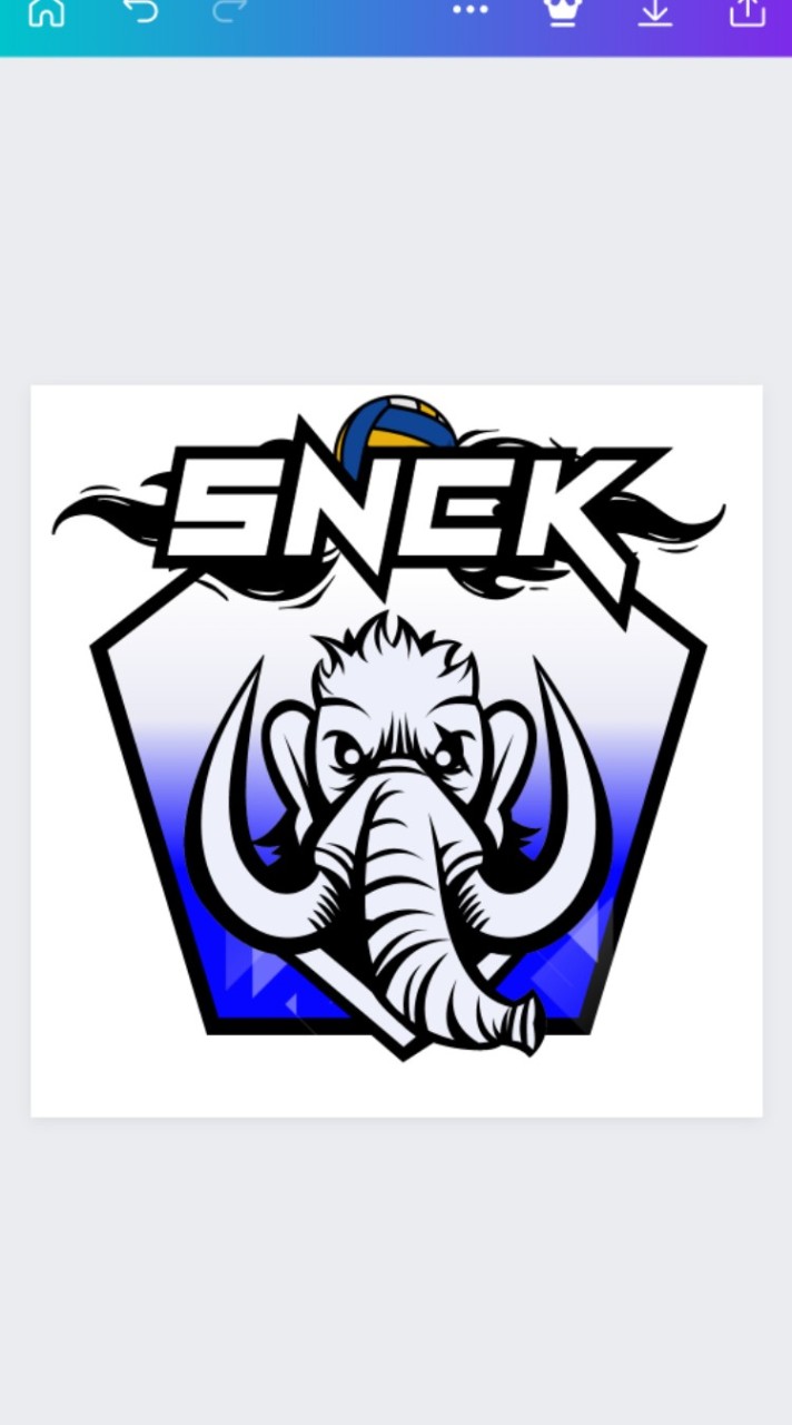 ชมรมวอลเลย์บอลSNCK