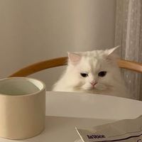 เเจกโค้ดamฟรี =͟͟͞͞♡