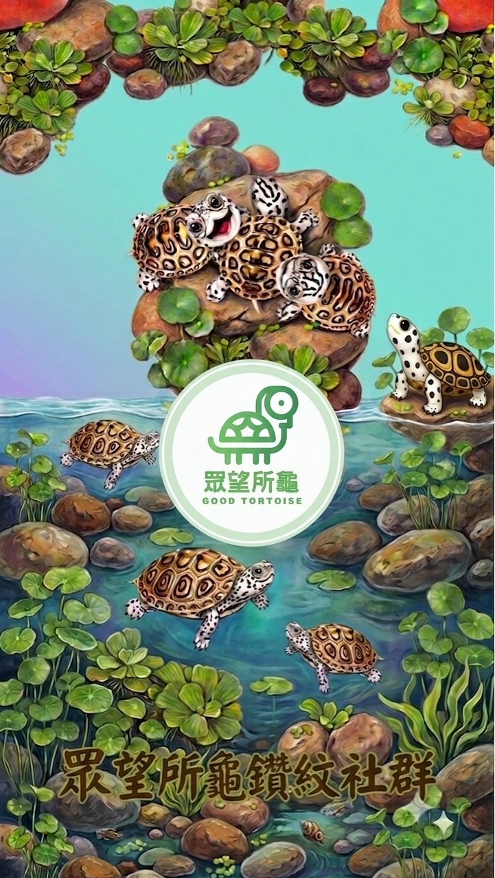 眾望所龜鑽紋龜交流社群