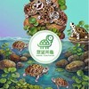 眾望所龜鑽紋龜交流社群