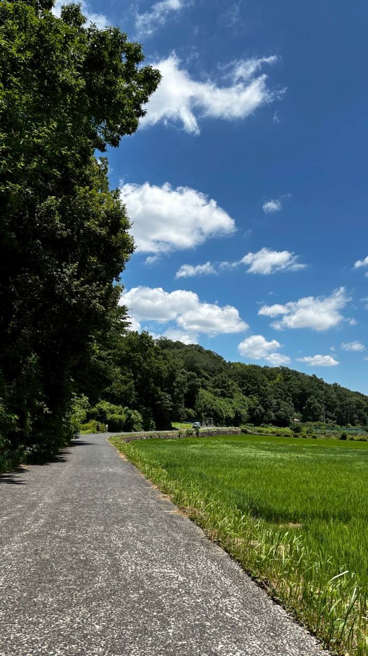 横浜・青葉台　藤が丘近辺情報ℹ️