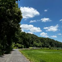 横浜・青葉台　藤が丘近辺情報ℹ️