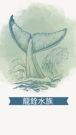 龍銓水族 龍魚工作室