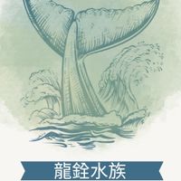 龍銓水族 龍魚工作室