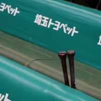 野球観ようぜ!