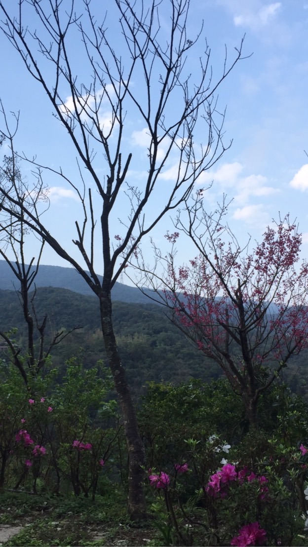 三十六行交流群