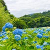 🌷大きいサイズのお洋服着てる子のお部屋🌷