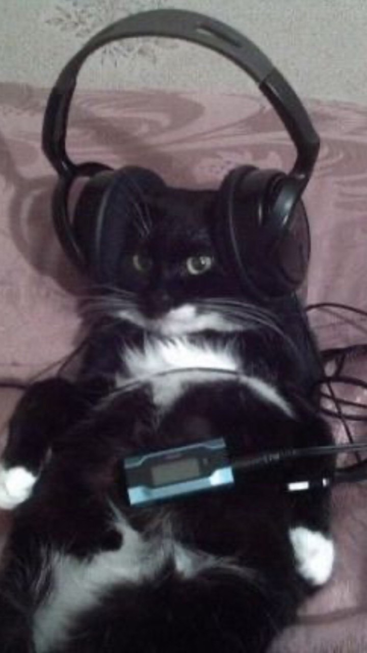ชีวิตดี๊ดีเมื่อมีเพลง-\คุยเล่น,ร้องเพลง,เล่นเกม\-