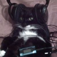 ชีวิตดี๊ดีเมื่อมีเพลง-\คุยเล่น,ร้องเพลง,เล่นเกม\-